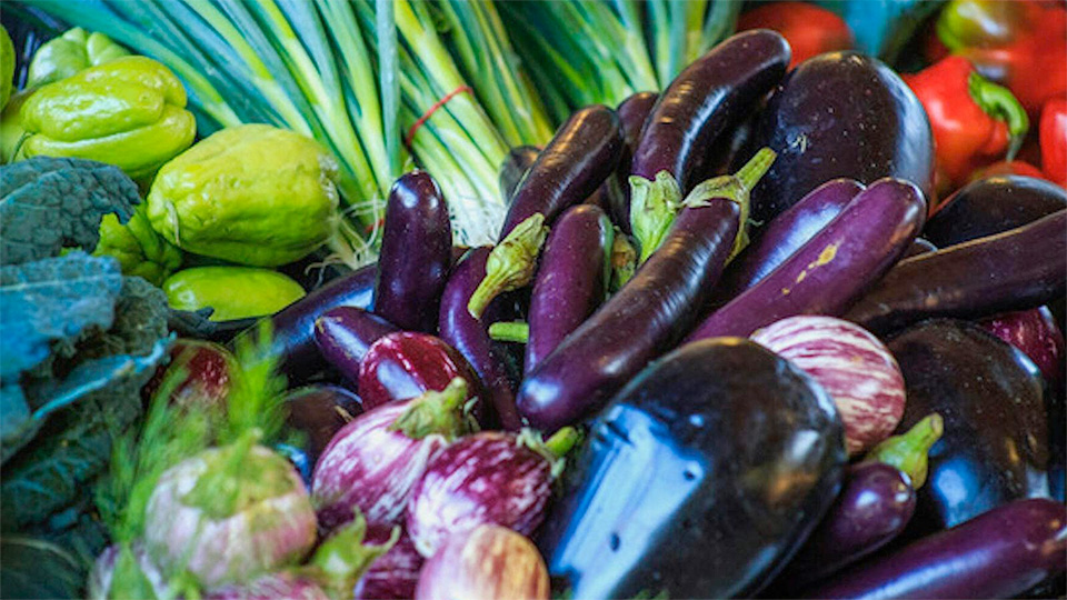 Murwillumbah Farmers' Market